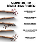ARTIST COLOR PENCIL STELLAR SET ($62 VALUE)