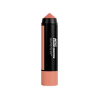 ARTIST COLOR CRAYON
