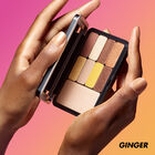 ARTIST COLOR PRO PALETTE ($95 VALUE)