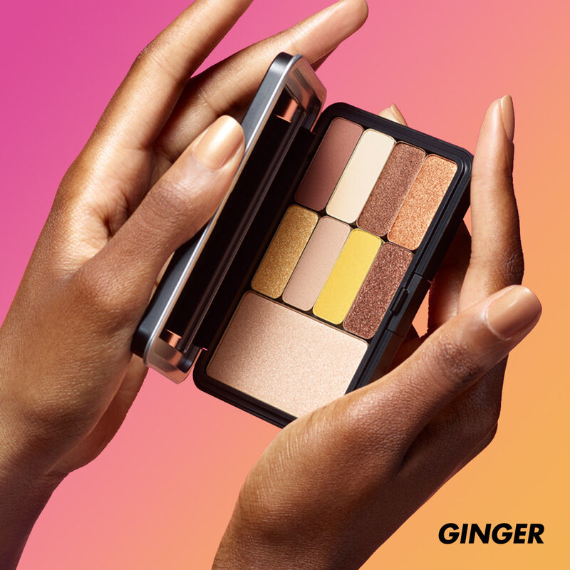 ARTIST COLOR PRO PALETTE ($95 VALUE)