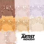 ARTIST HIGHLIGHTER