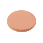 Sponge Refill