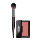 BLUSH & BRUSH DUO