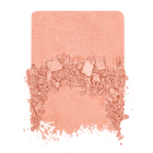 ARTIST BLUSH