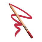 ARTIST COLOR PENCIL