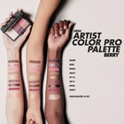 ARTIST COLOR PRO PALETTE