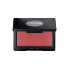 アーティスト ブラッシュ｜メイクアップフォーエバー MAKE UP FOR EVER