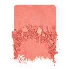 ARTIST BLUSH