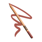 ARTIST COLOR PENCIL