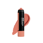 ARTIST COLOR CRAYON