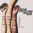 ARTIST COLOR PRO PALETTE