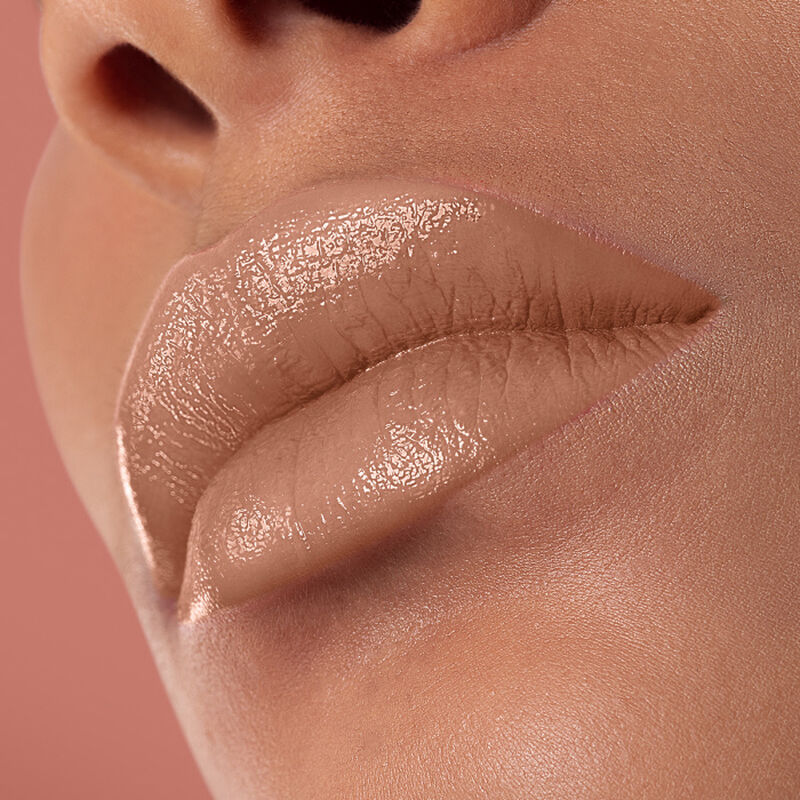 ROUGE ARTIST SHINE ON