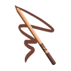 ARTIST COLOR PENCIL
