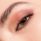 ARTIST COLOR PRO PALETTE