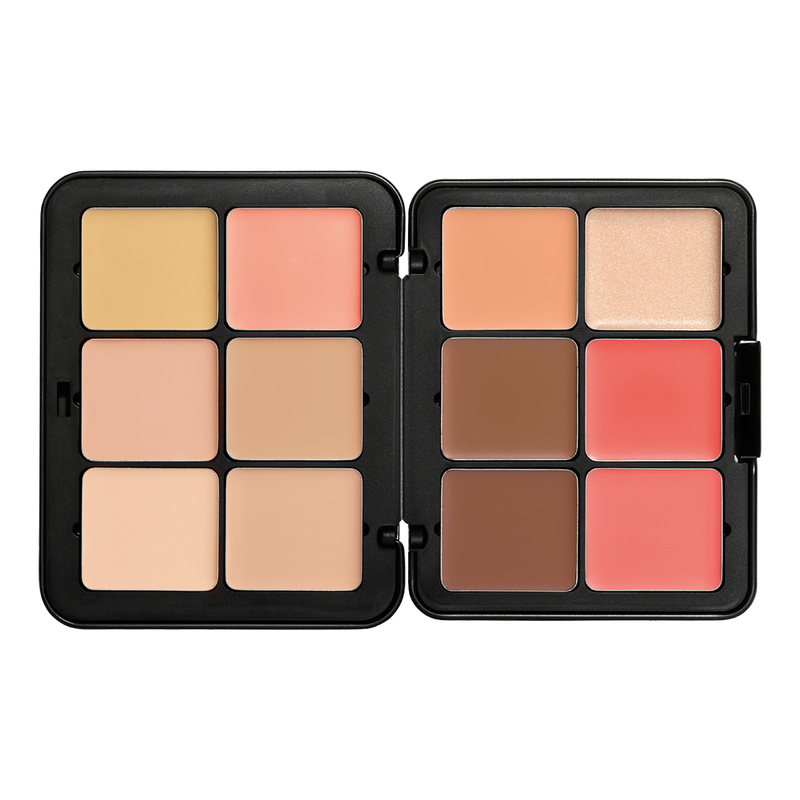 All-in-1 Face Palette!  Style Channel's Concealer Foundation Palette! 