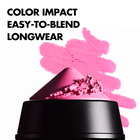 ARTIST COLOR CRAYON