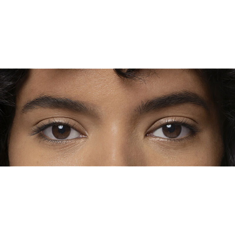 AQUA RESIST BROW FIXER