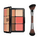 ALL-IN-ONE PALETTE & BRUSH DUO