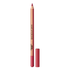 ARTIST COLOR PENCIL