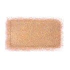 RECHARGES ARTIST FACE COLOR