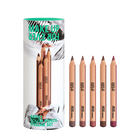 ARTIST COLOR PENCIL STELLAR SET ($62 VALUE)