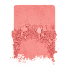 ARTIST BLUSH