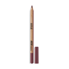 ARTIST COLOR PENCIL