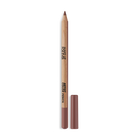 ARTIST COLOR PENCIL