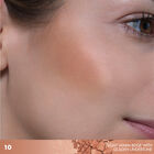 ARTIST BRONZER