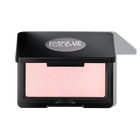 ARTIST HIGHLIGHTER