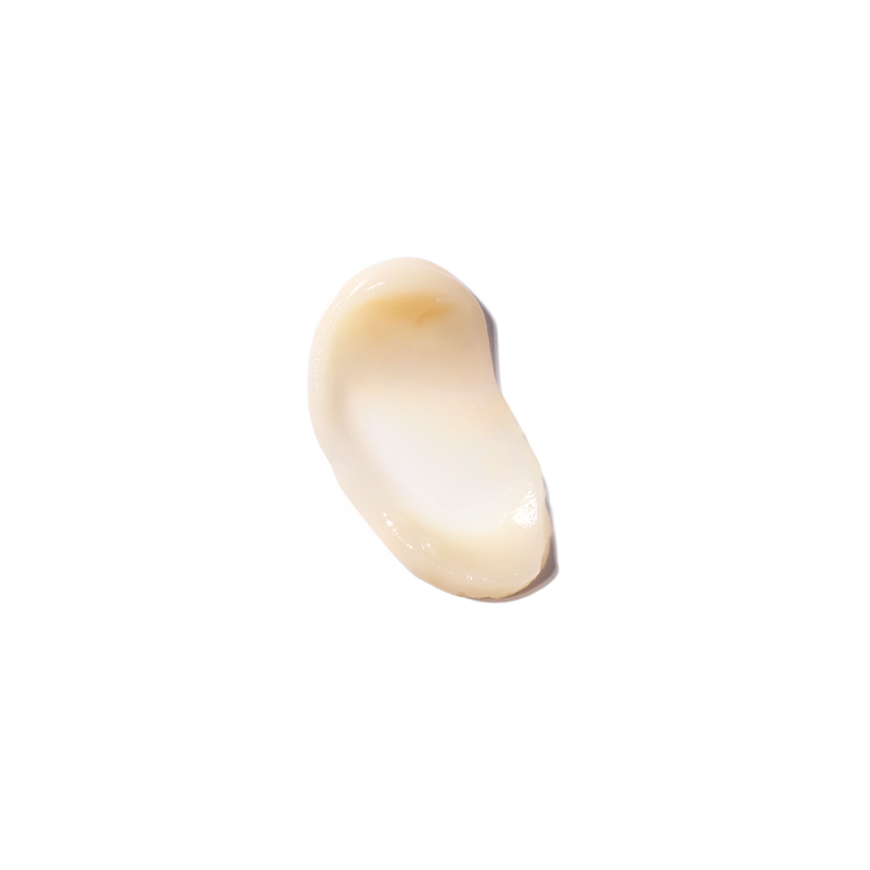 STEP 1 PRIMER – SHINE CONTROL STEP 1 PRIMER – SHINE CONTROL