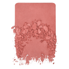ARTIST BLUSH