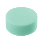 Body Sponge