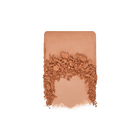 ARTIST BRONZER