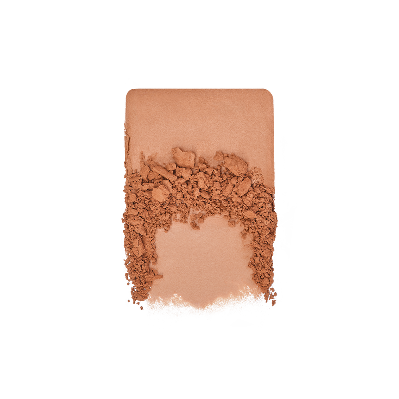 ARTIST BRONZER ARTIST BRONZER