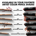 ARTIST COLOR CRAYON