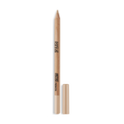 ARTIST COLOR PENCIL