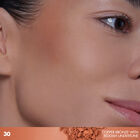 ARTIST BRONZER