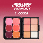 HD SKIN BLUSH & GLOW PALETTE