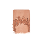 ARTIST BRONZER