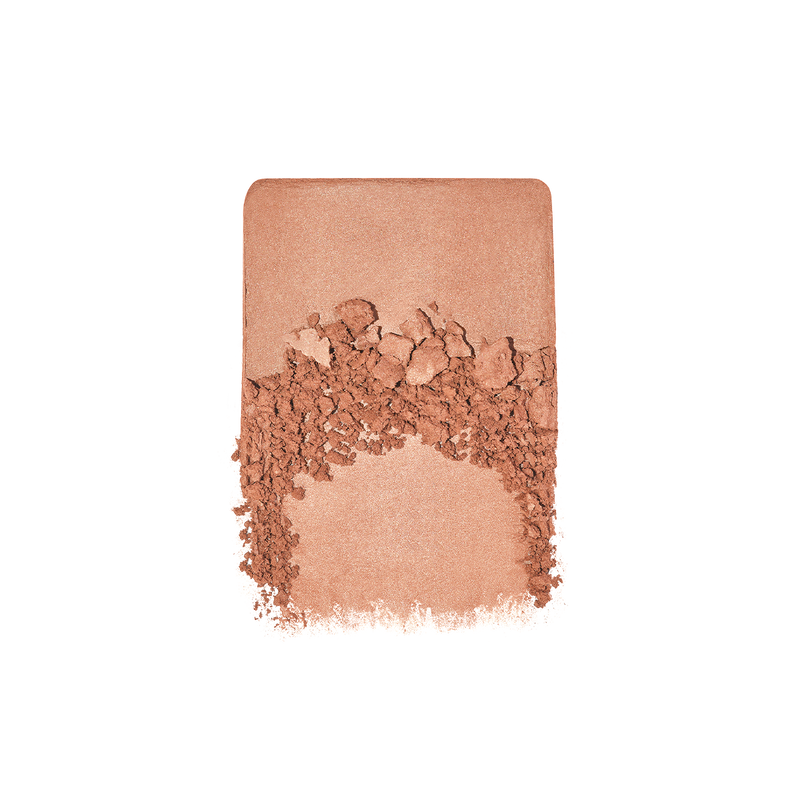 ARTIST BRONZER