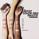 ARTIST COLOR PRO PALETTE