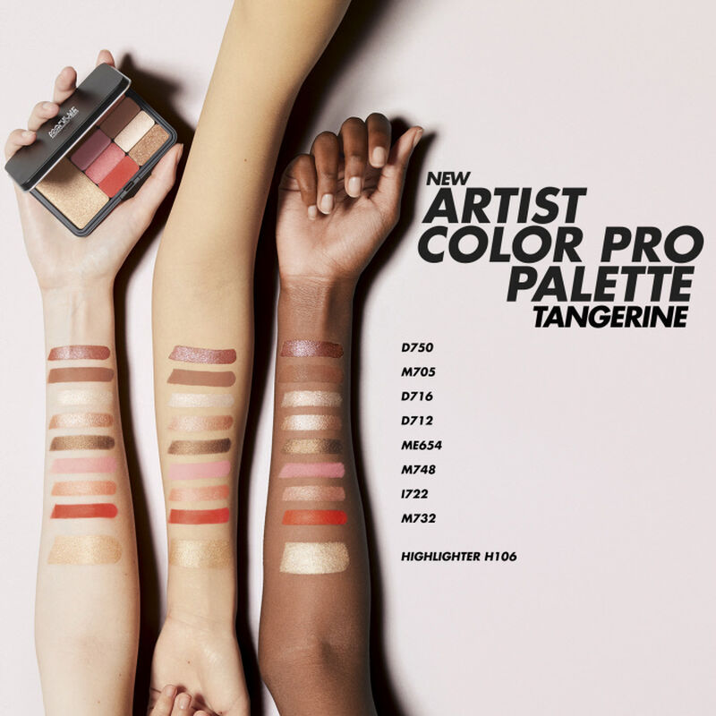 ARTIST COLOR PRO PALETTE