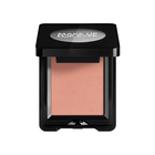 ARTIST EYESHADOW