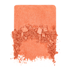 ARTIST BLUSH