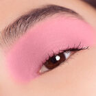 ARTIST COLOR PRO PALETTE